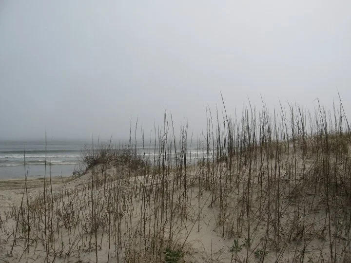 Dunes to ocean