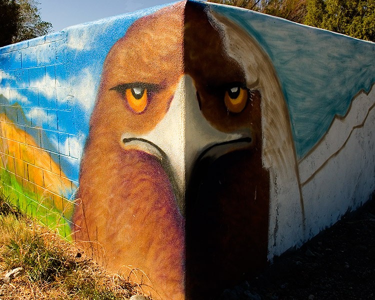 Eagle on wall in New Mexico