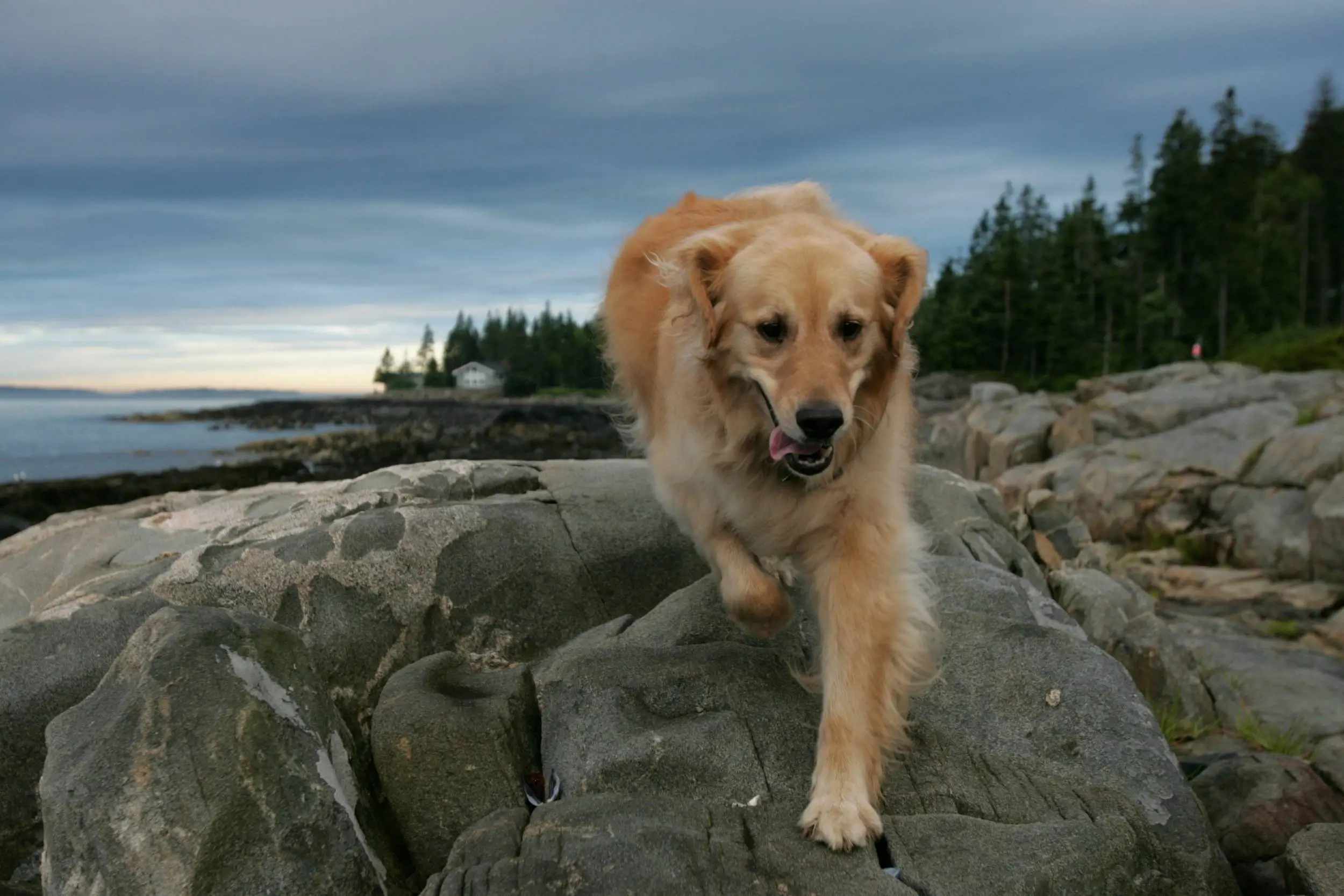 Echo at Port Clyde
