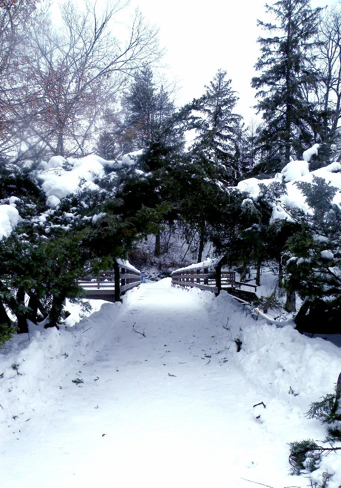 edwardsgardens