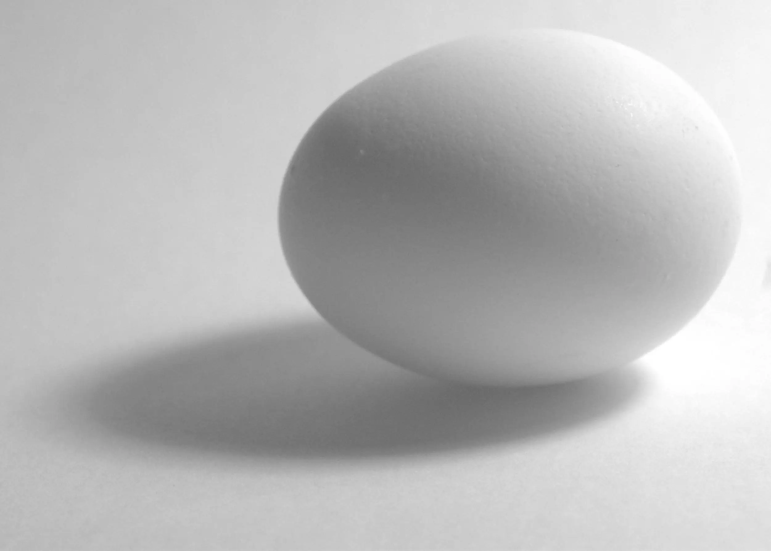 EGG