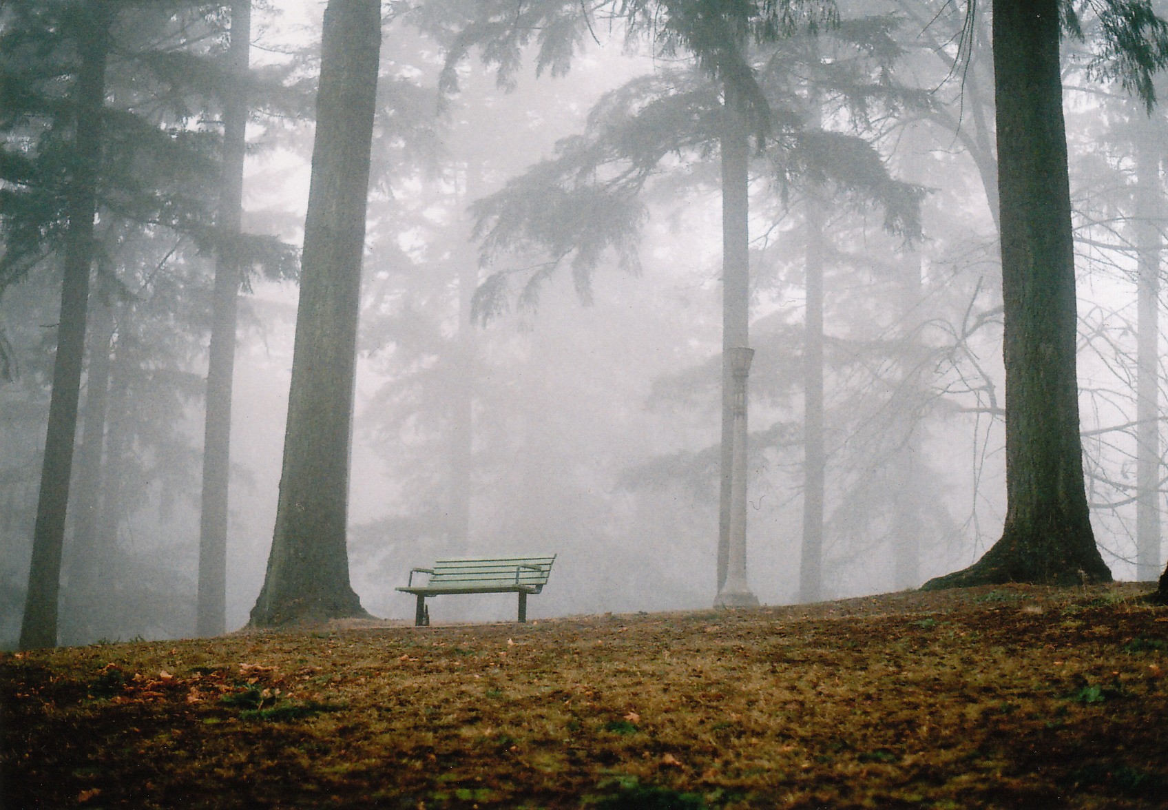 Empty bench