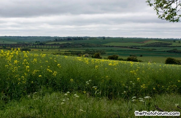 england-countryside-sm-web