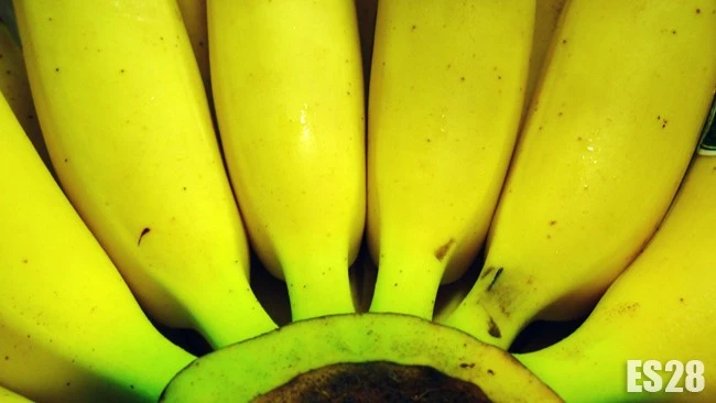 es28] banana