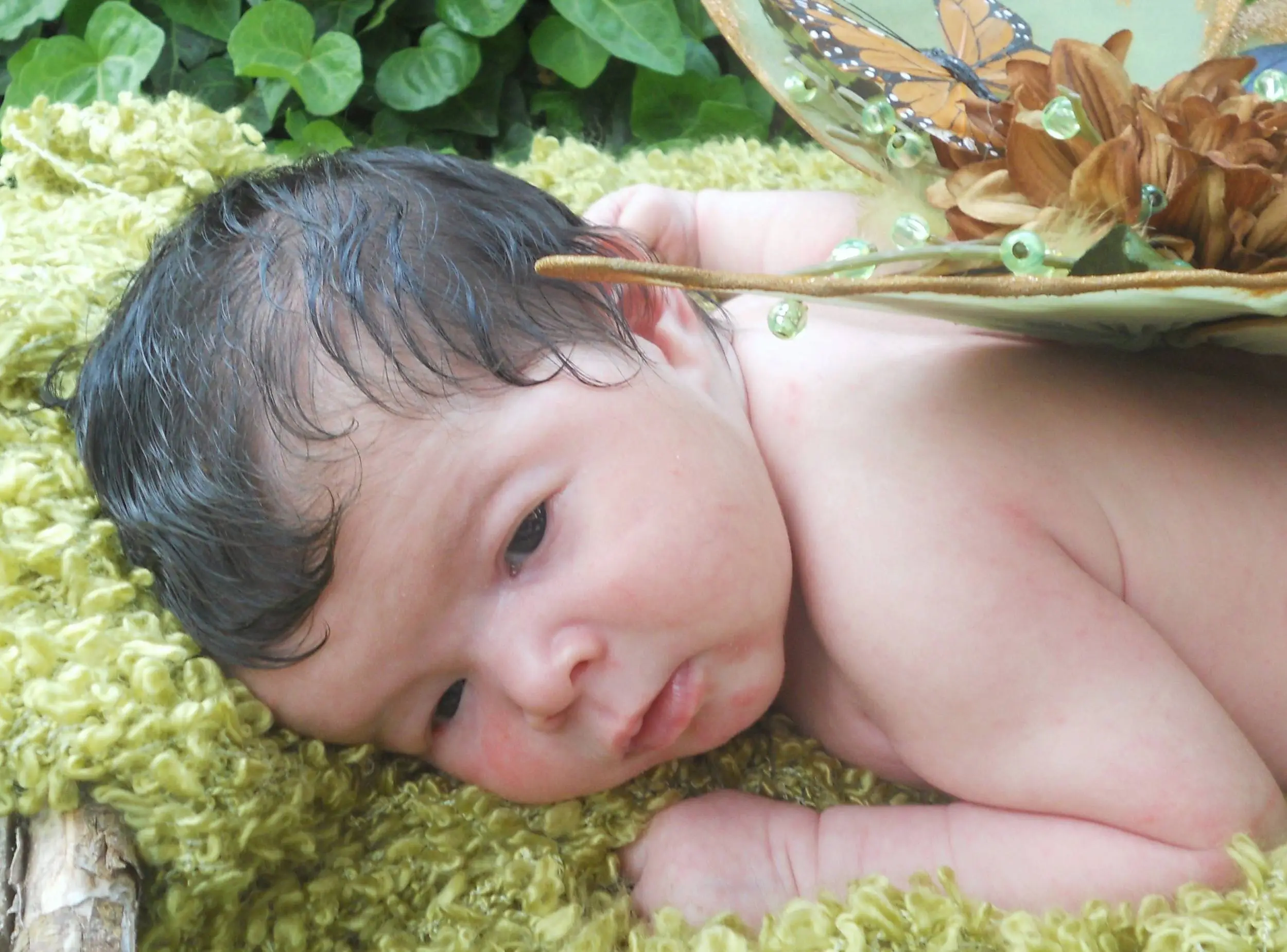 Fairy Session 2