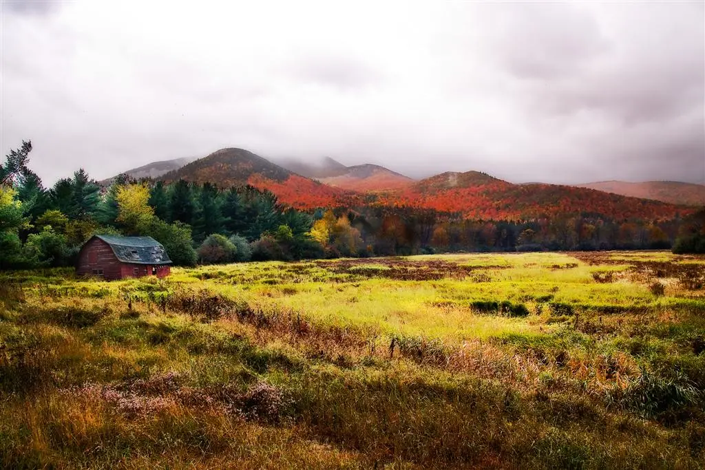 Fall Colors