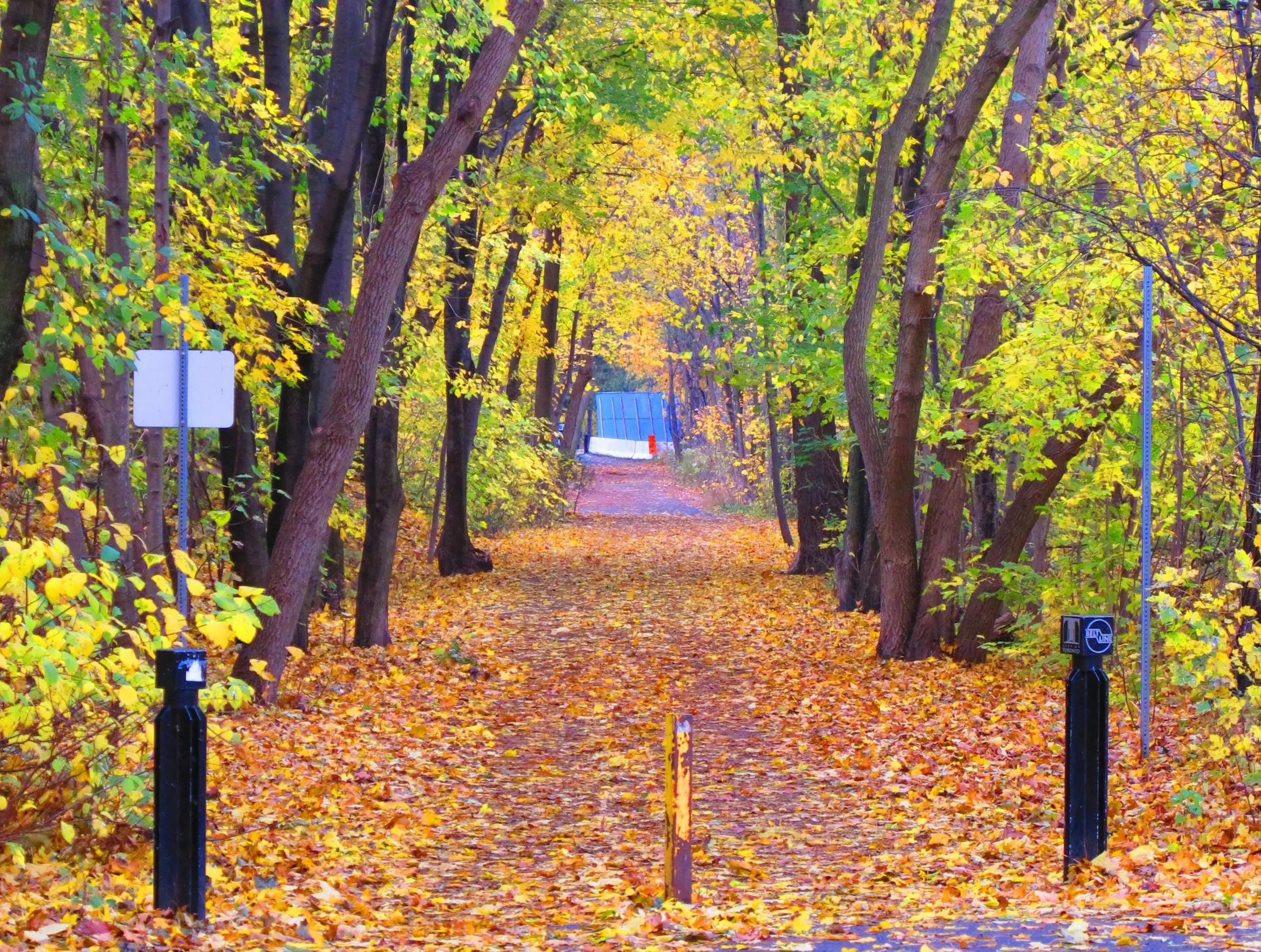 fall colors