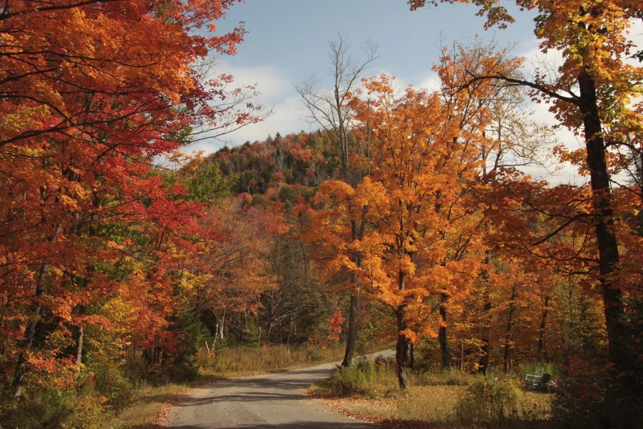 Fall day in our village