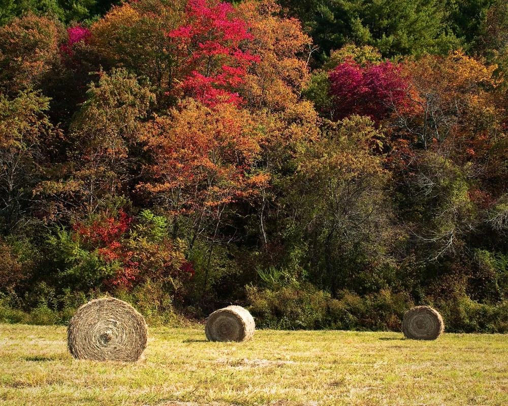 Fall Has Arrived