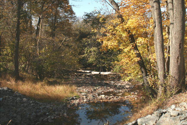 Fall Stream