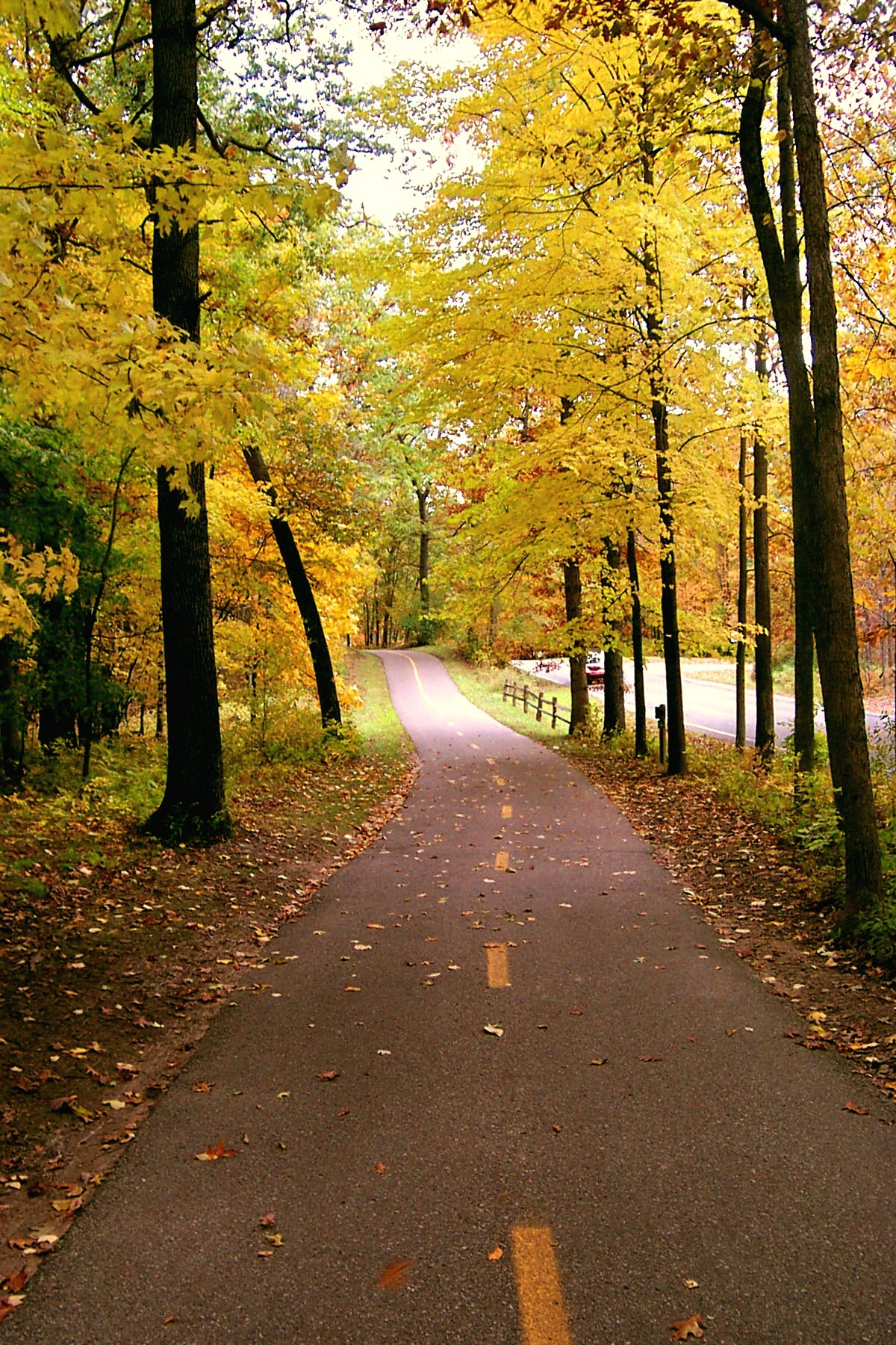 Fall Trail in Kensington