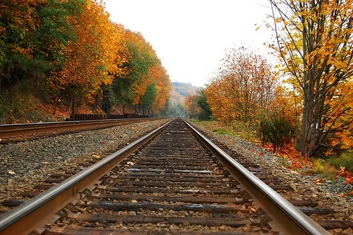 Fall train tracks