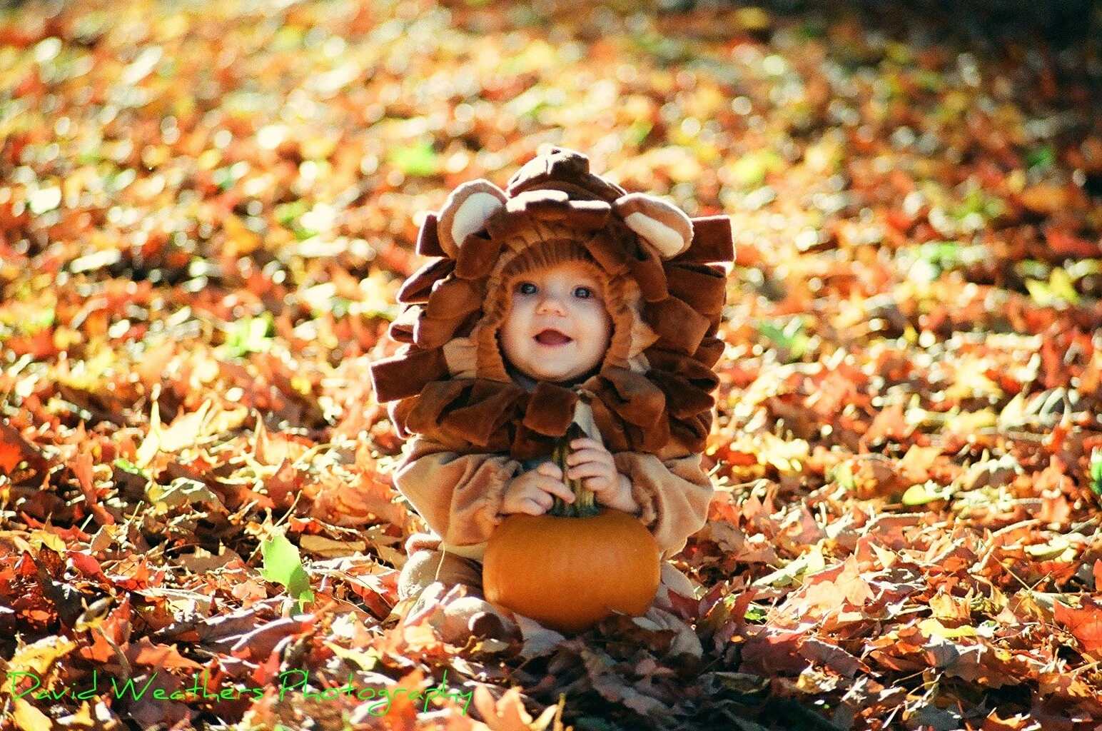 Fall_Session_10-31-10-3