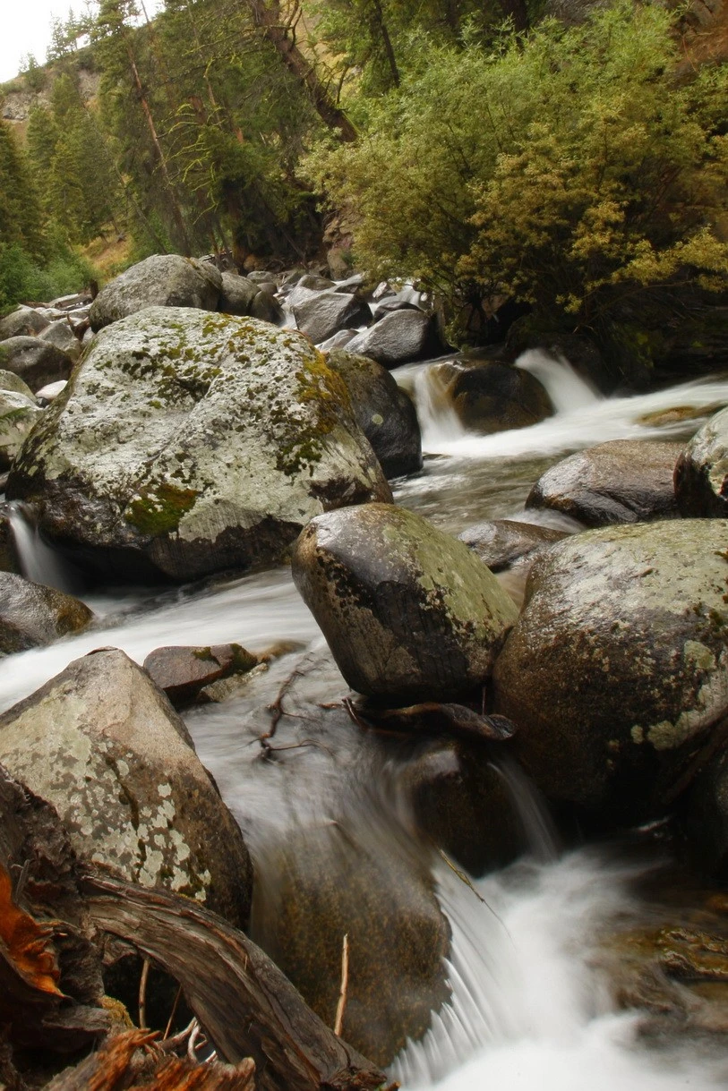 Fallsresize