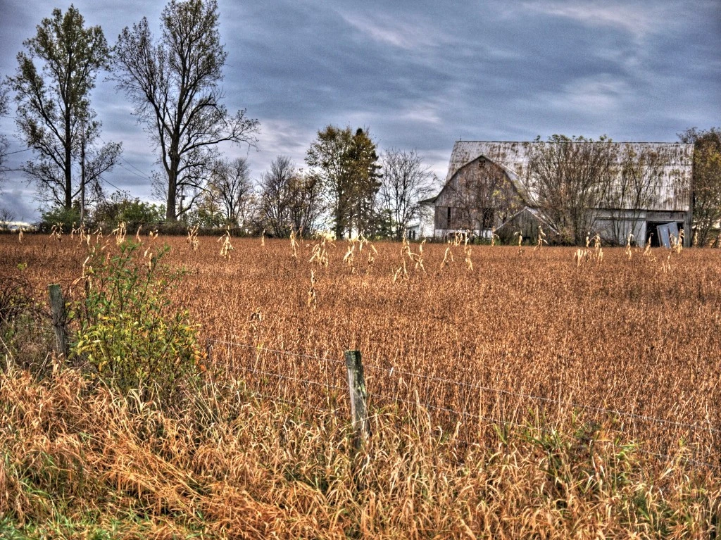 Farm Field - HDR