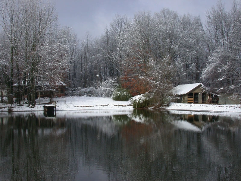 feb09photo05 - Snowy Morn in Tennessee