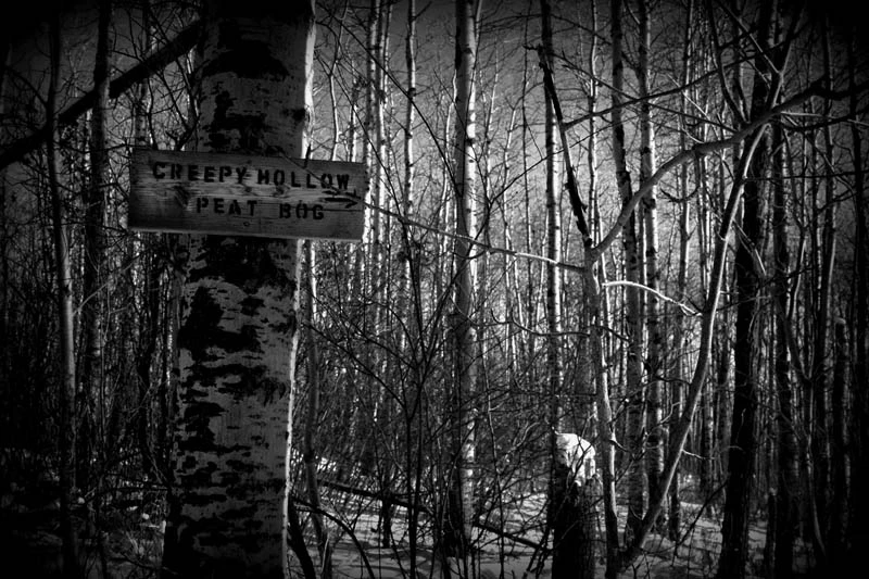 feb09photo24 - Creepy Hollow