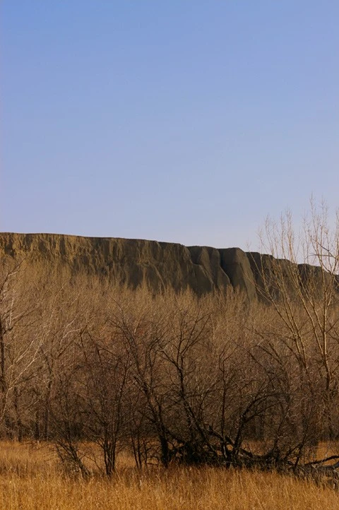 feb09photo32 - Golden Hills