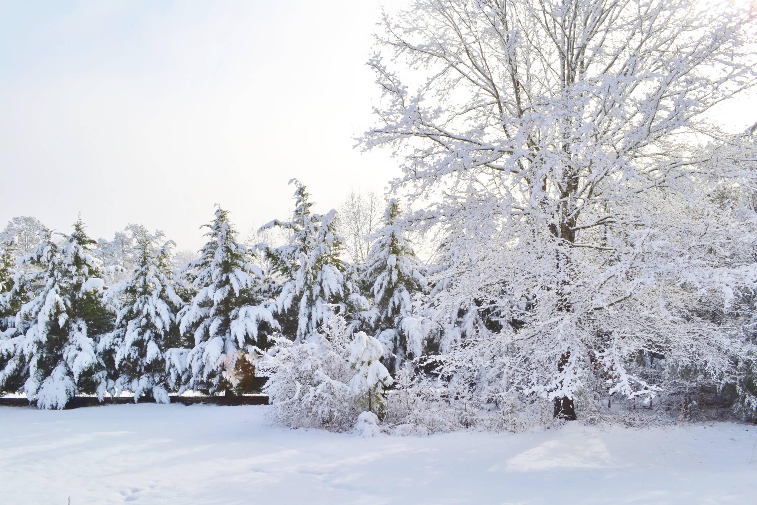 FEB_13_2014_SNOW_DAYS_ON_DOGWOOD_HILLS_004