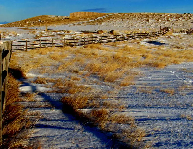 Fence