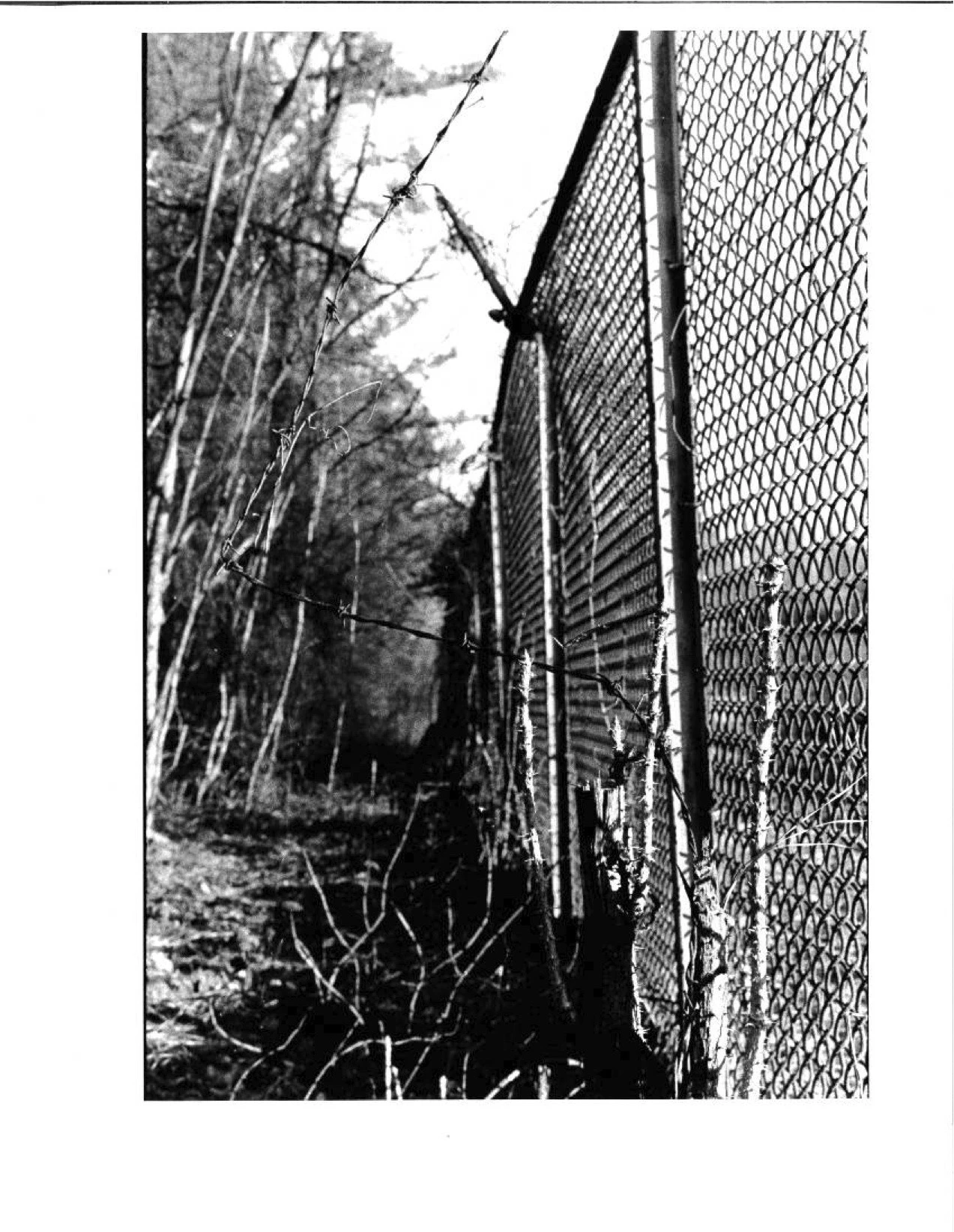 Fenced