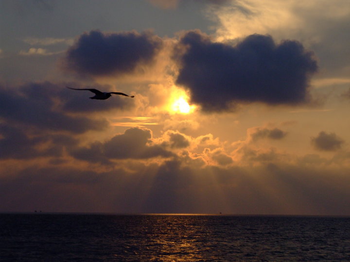 Ferry Crossing at Dusk