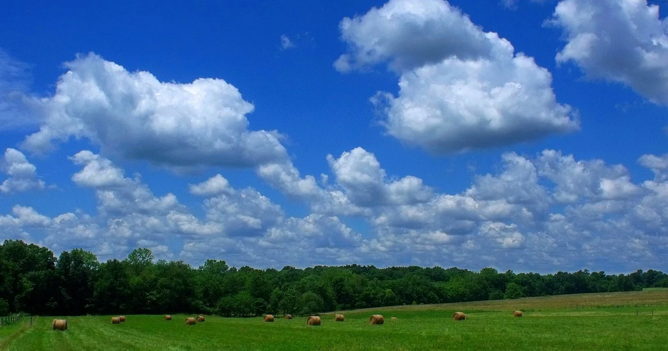 field