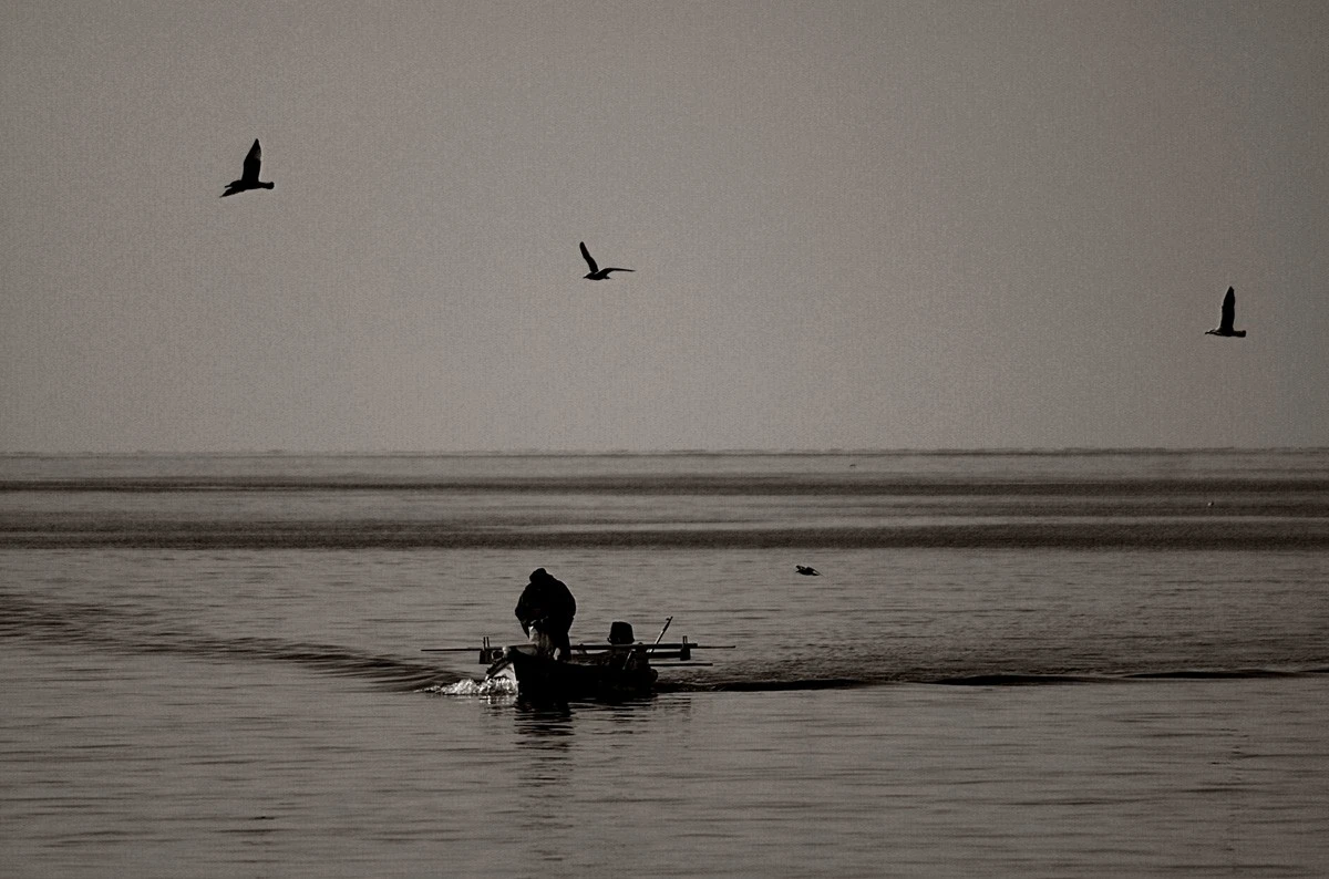 Fisherman