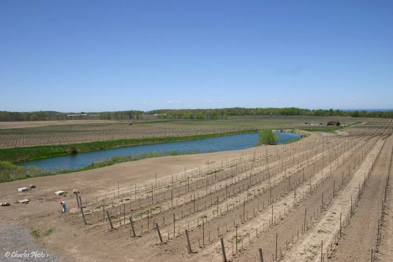 Flat Rock Winery (Niagara on the Lake Reigon)