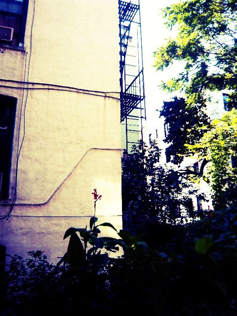 flowerladderxpro