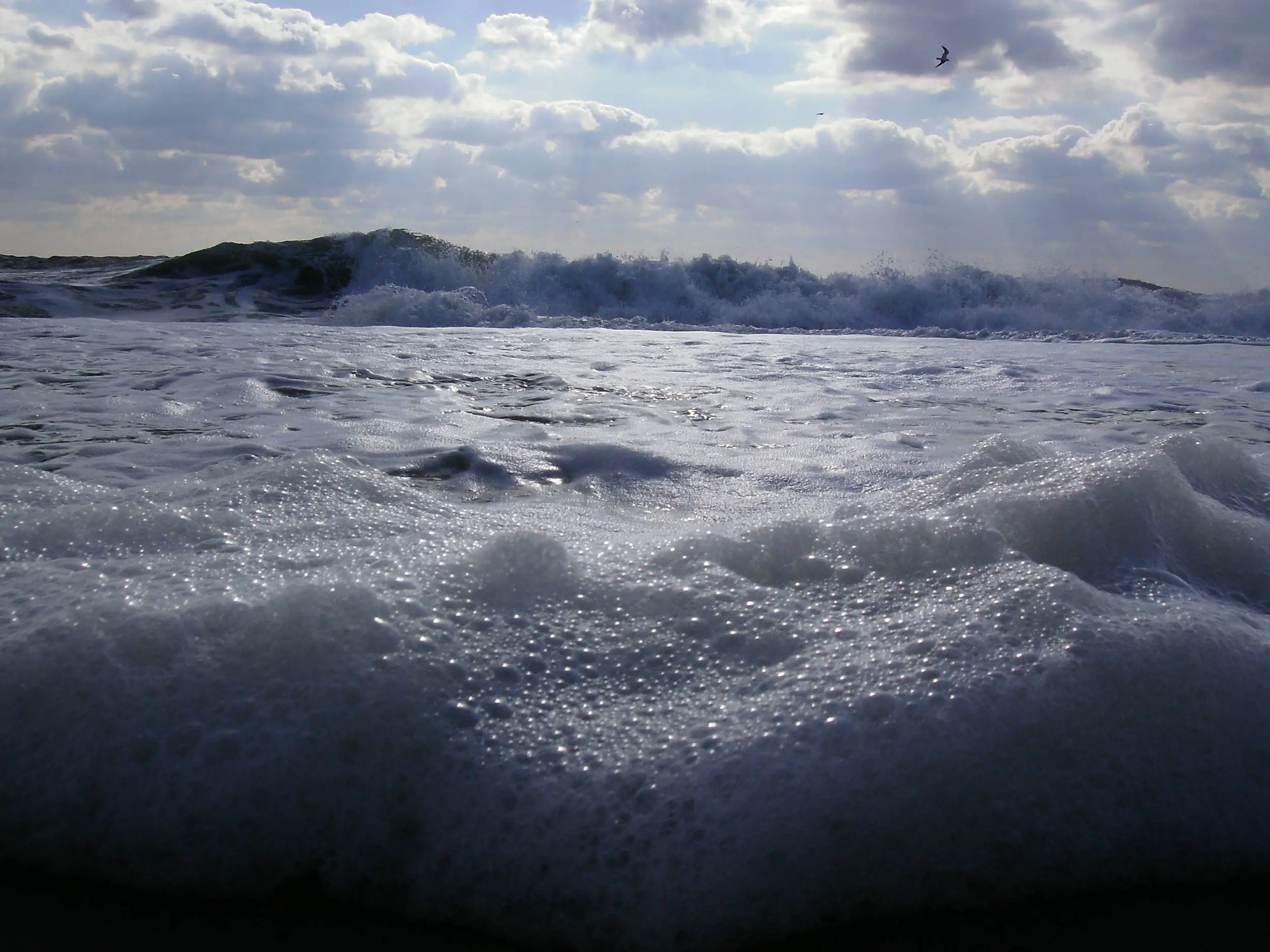 Foam