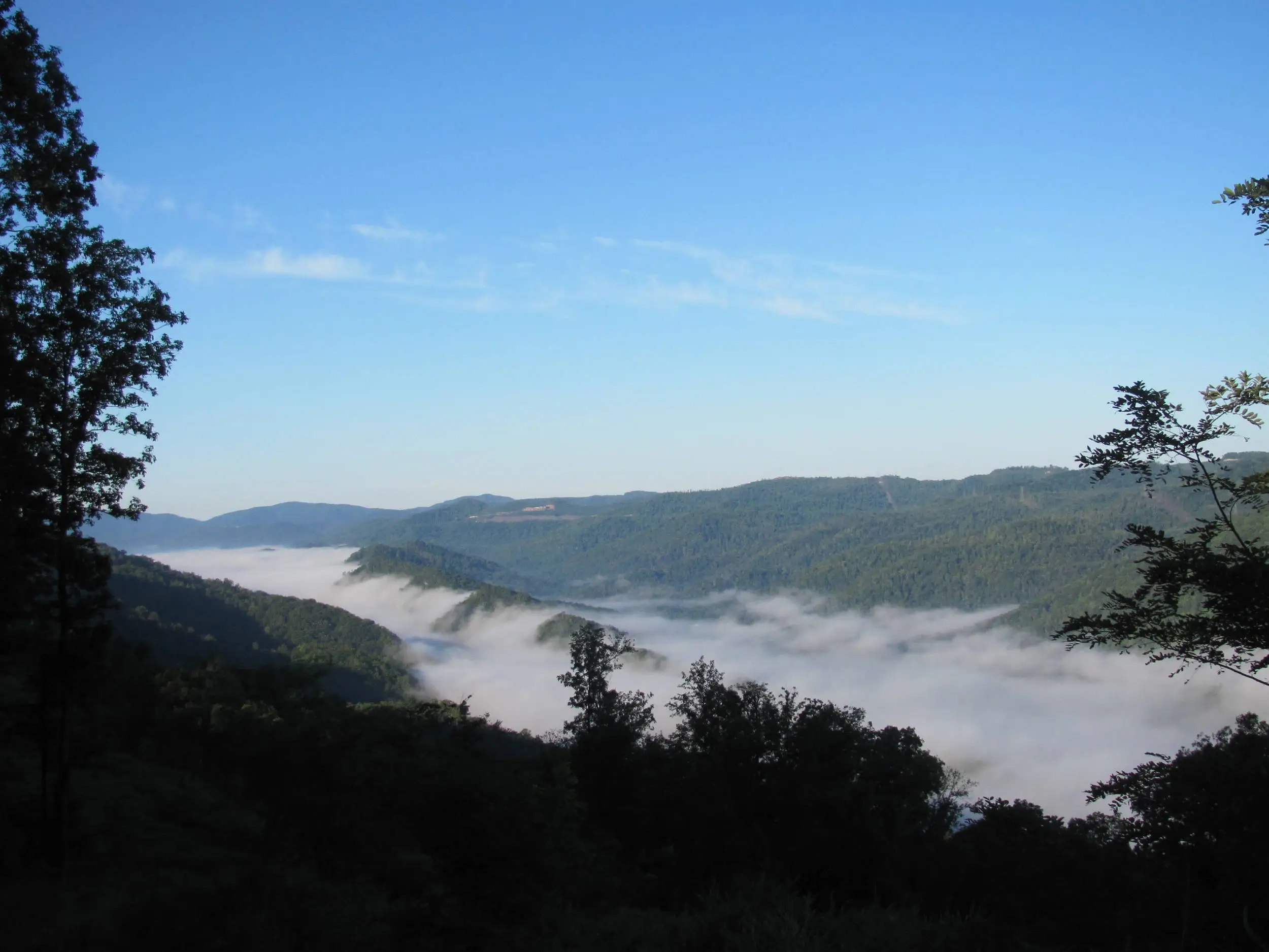 fog