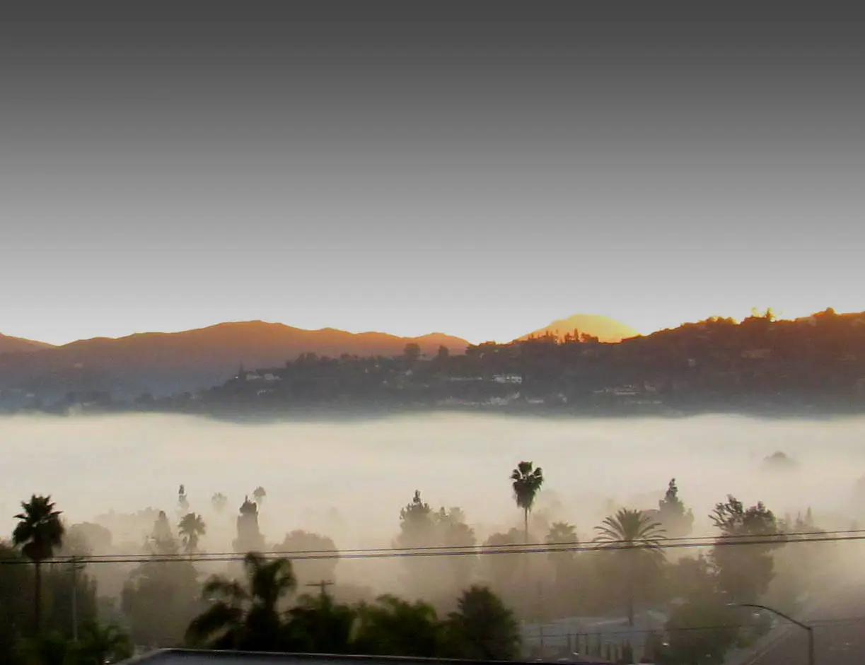 Fog