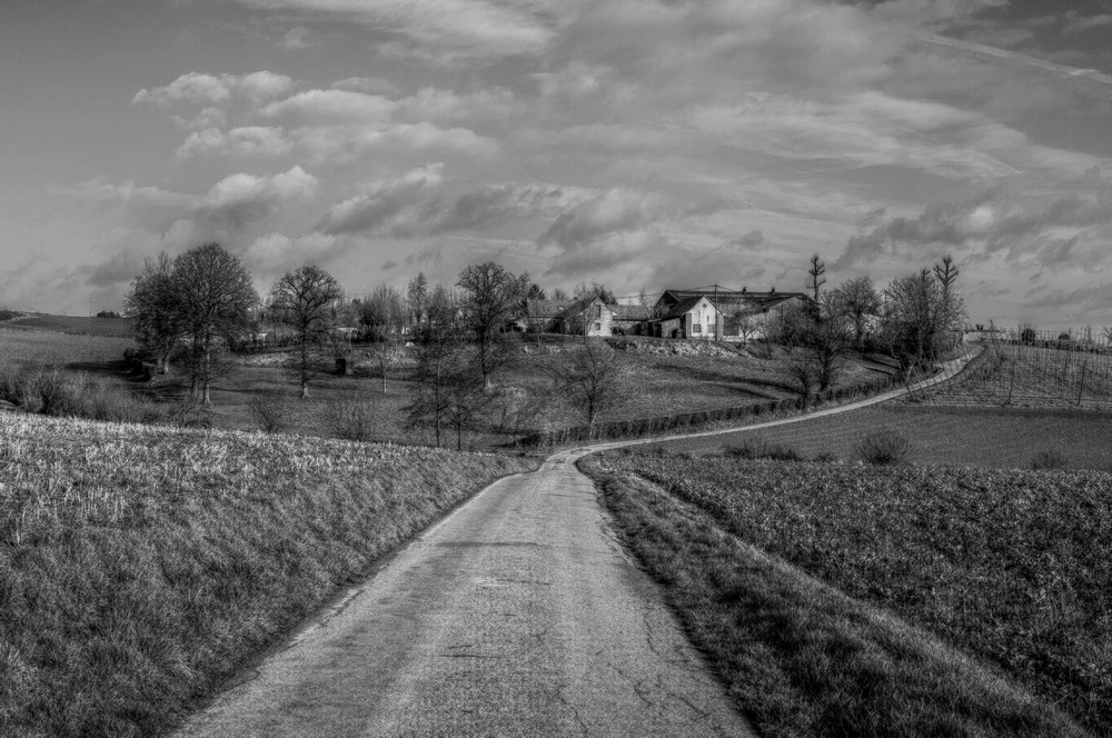 french flanders 2