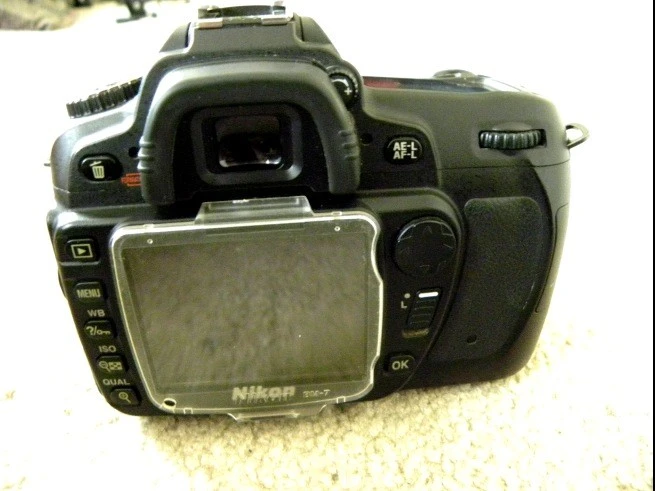 FS D80 3