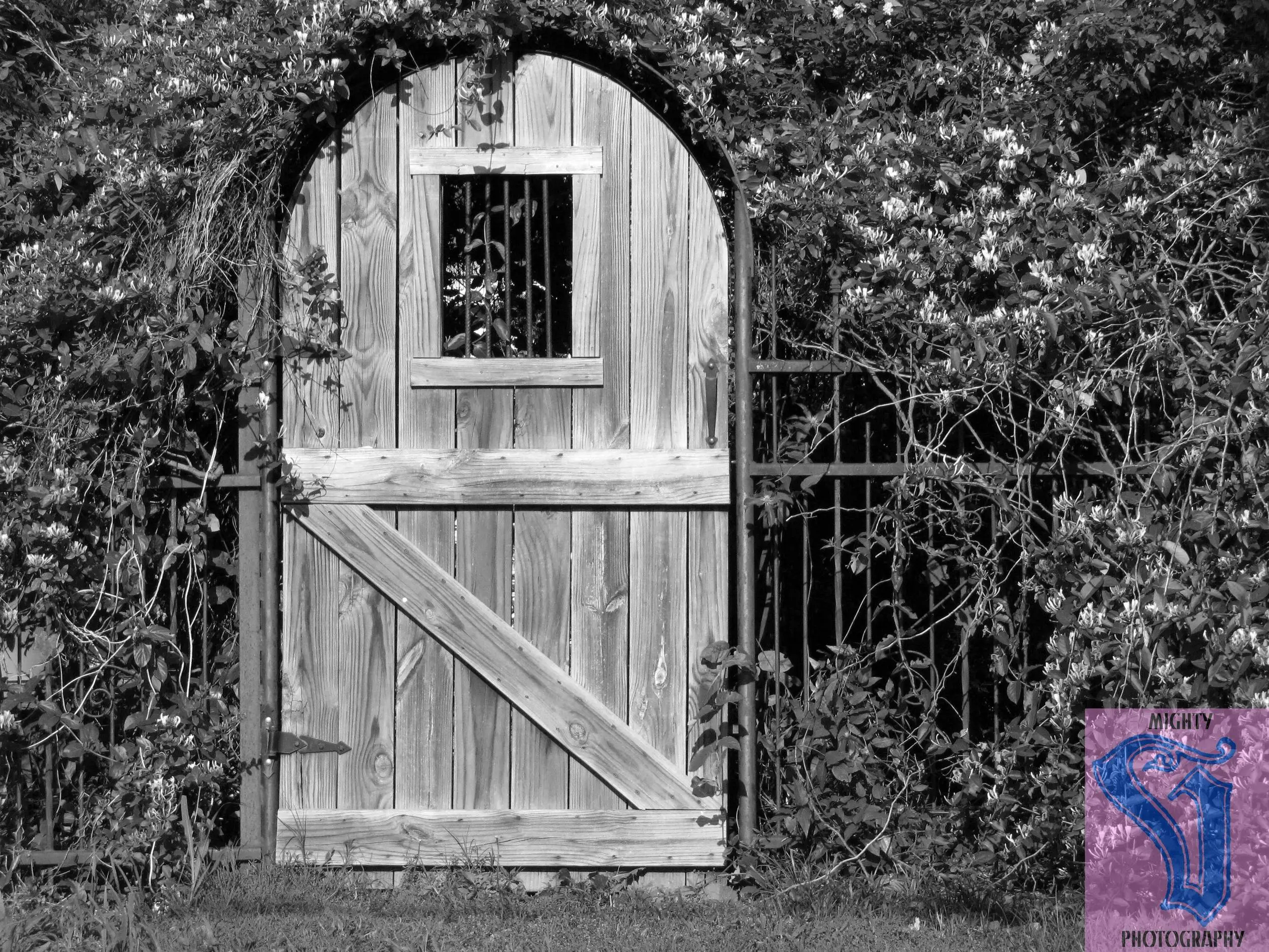 Garden door