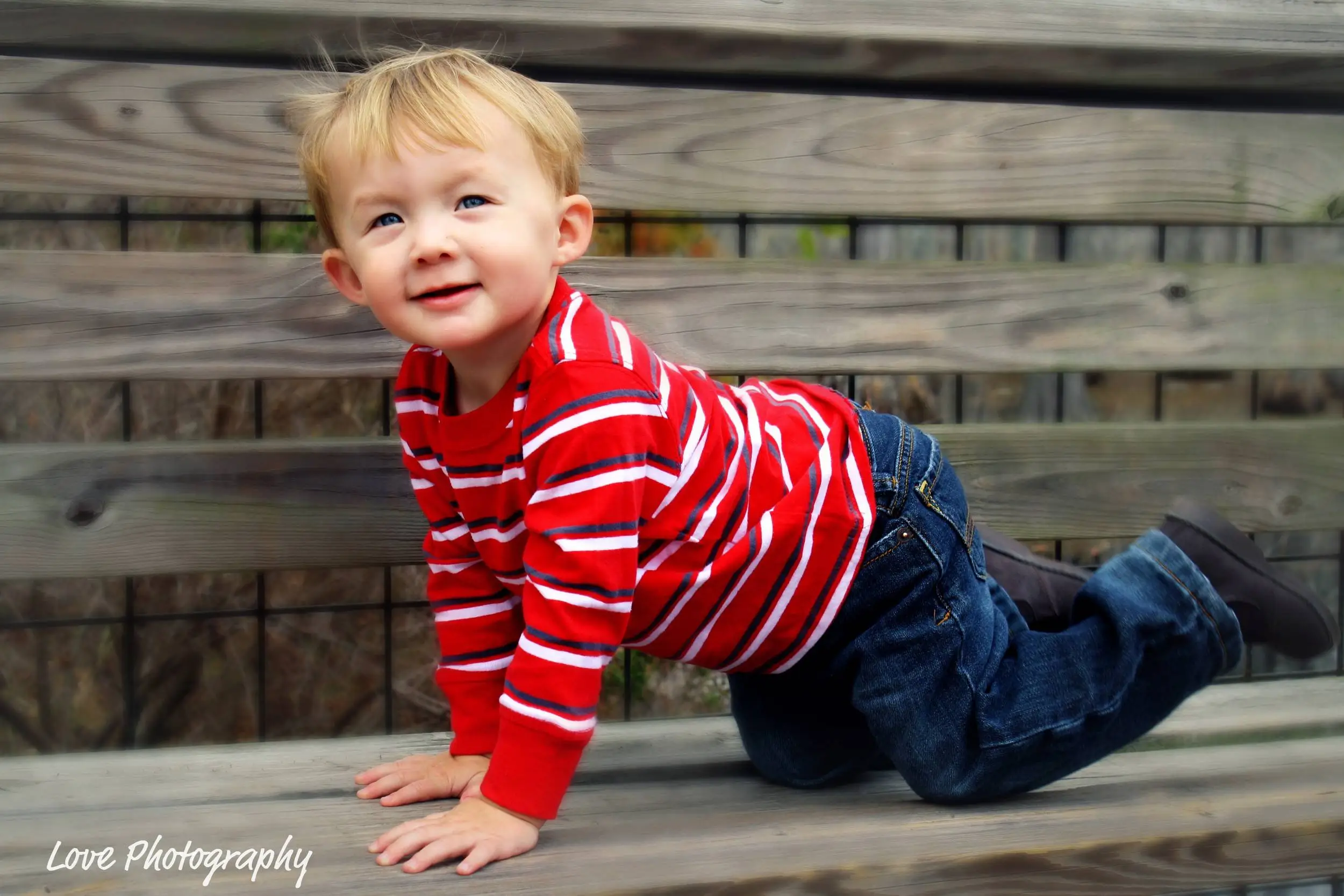 Gavin