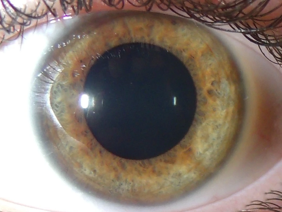 GEDSC DIGITAL CAMERA