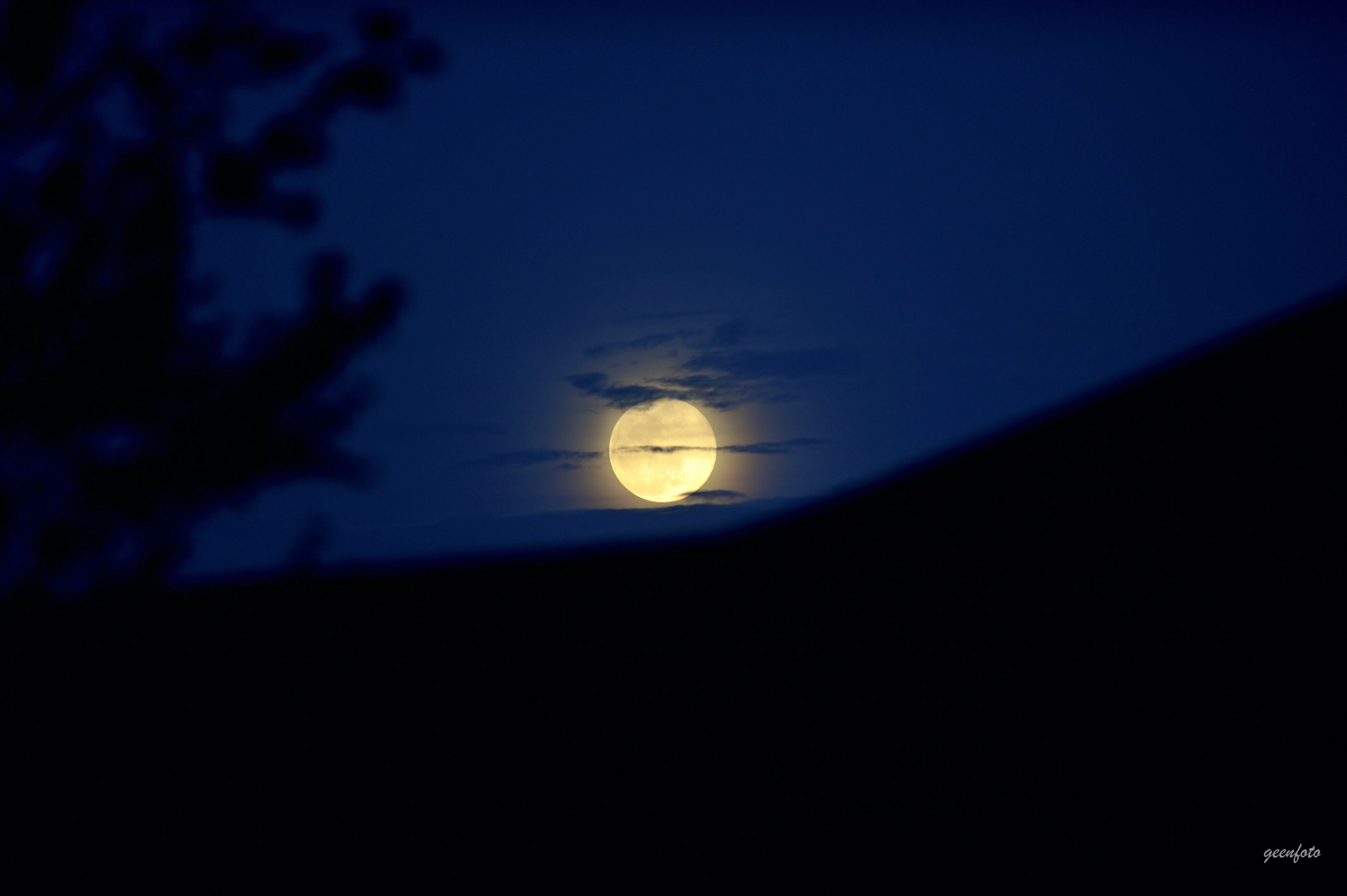 GG7_0534.jpg