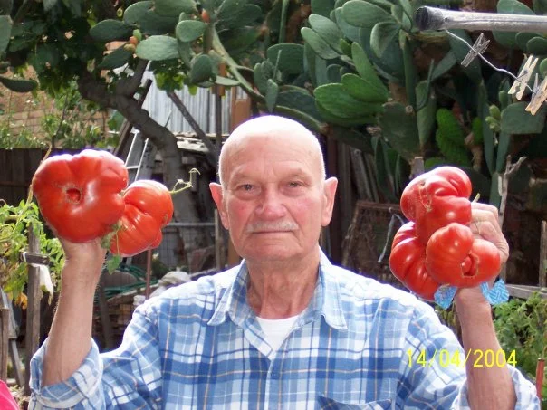 Giuseppe Torcasio: Portrait