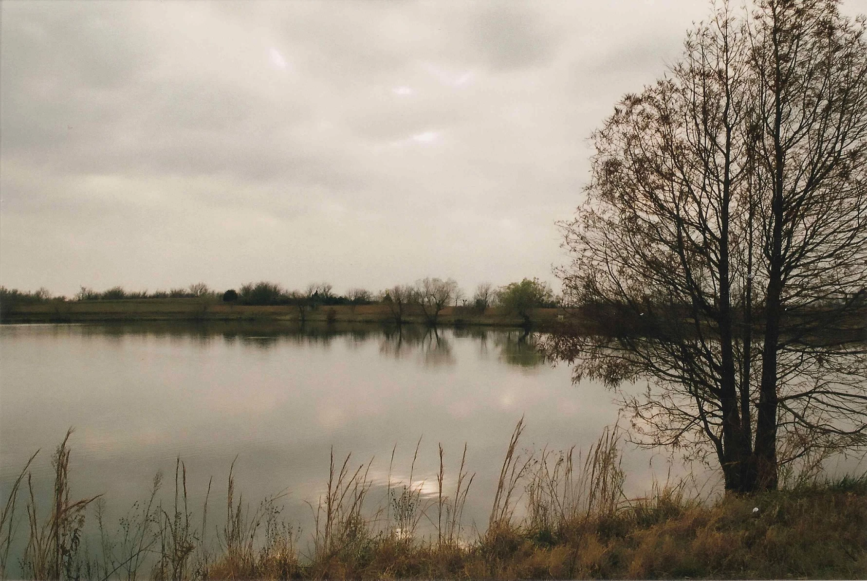 Glassy Pond