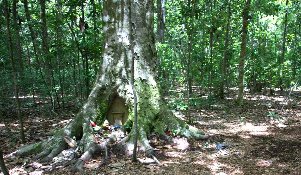 Gnome Home