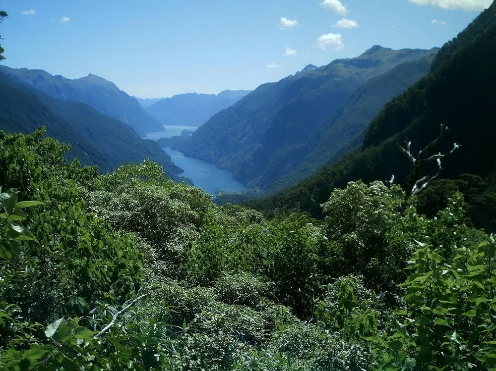 going to doubtful sound