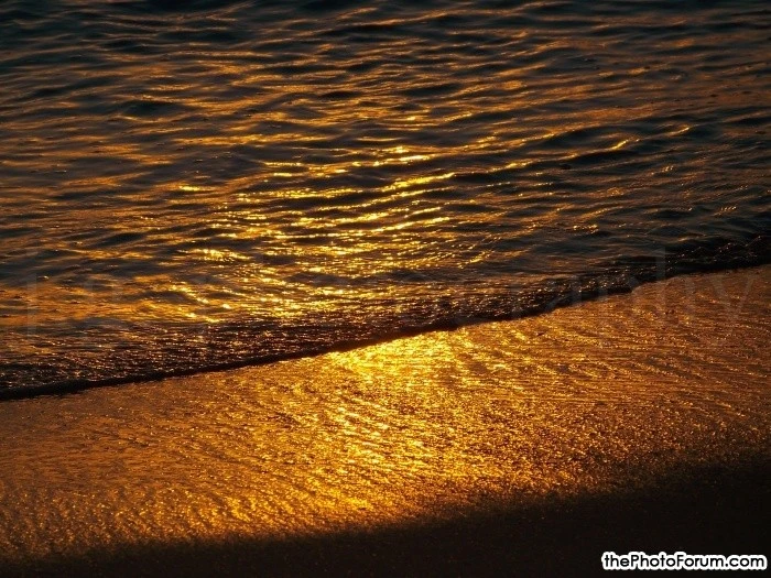 Golden Tide