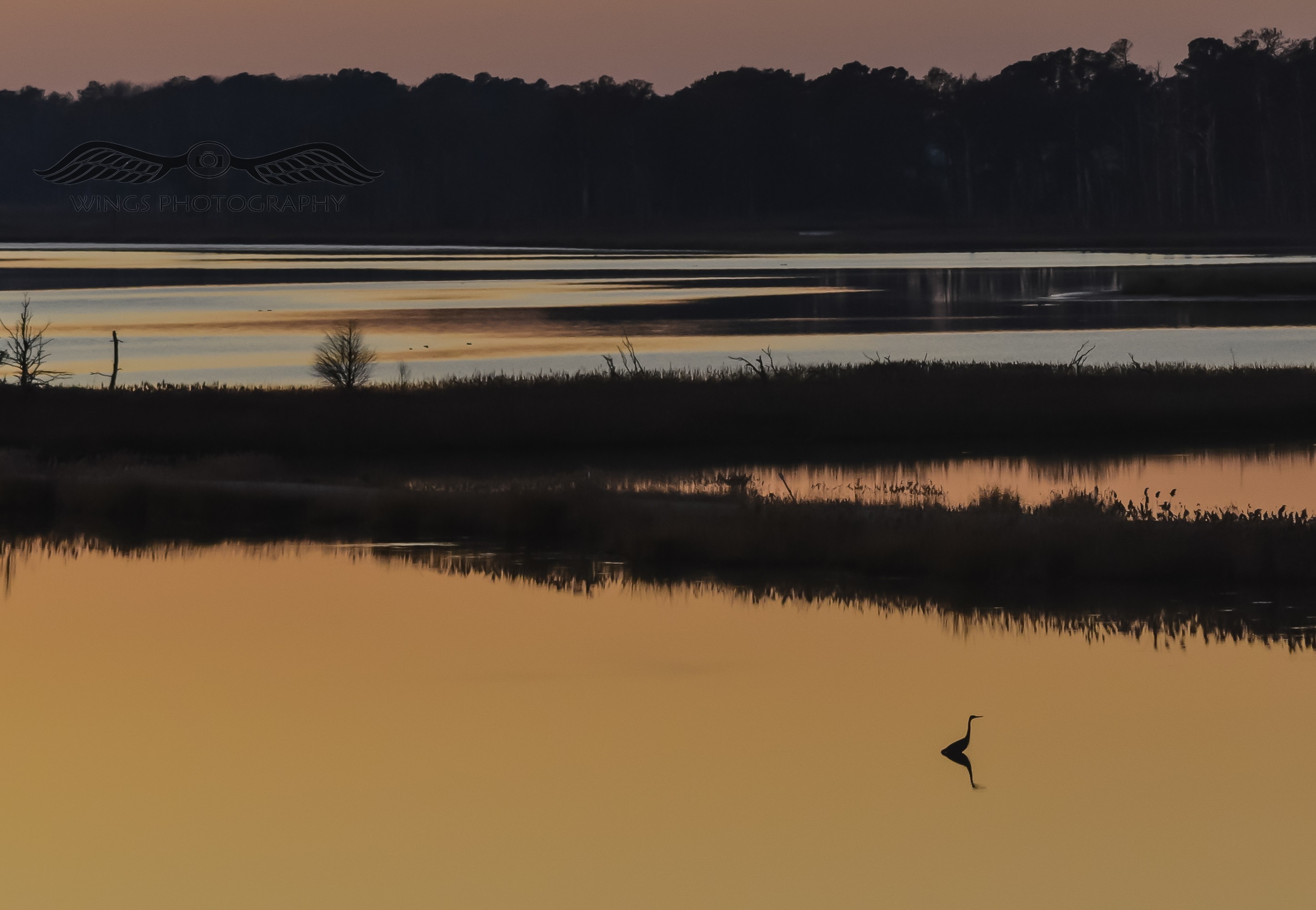 golden wildlife refuge