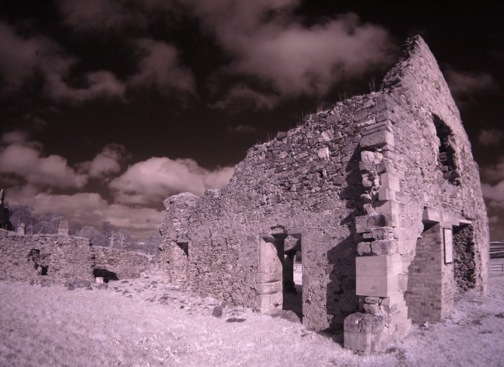 Grace Dieu priory ruins