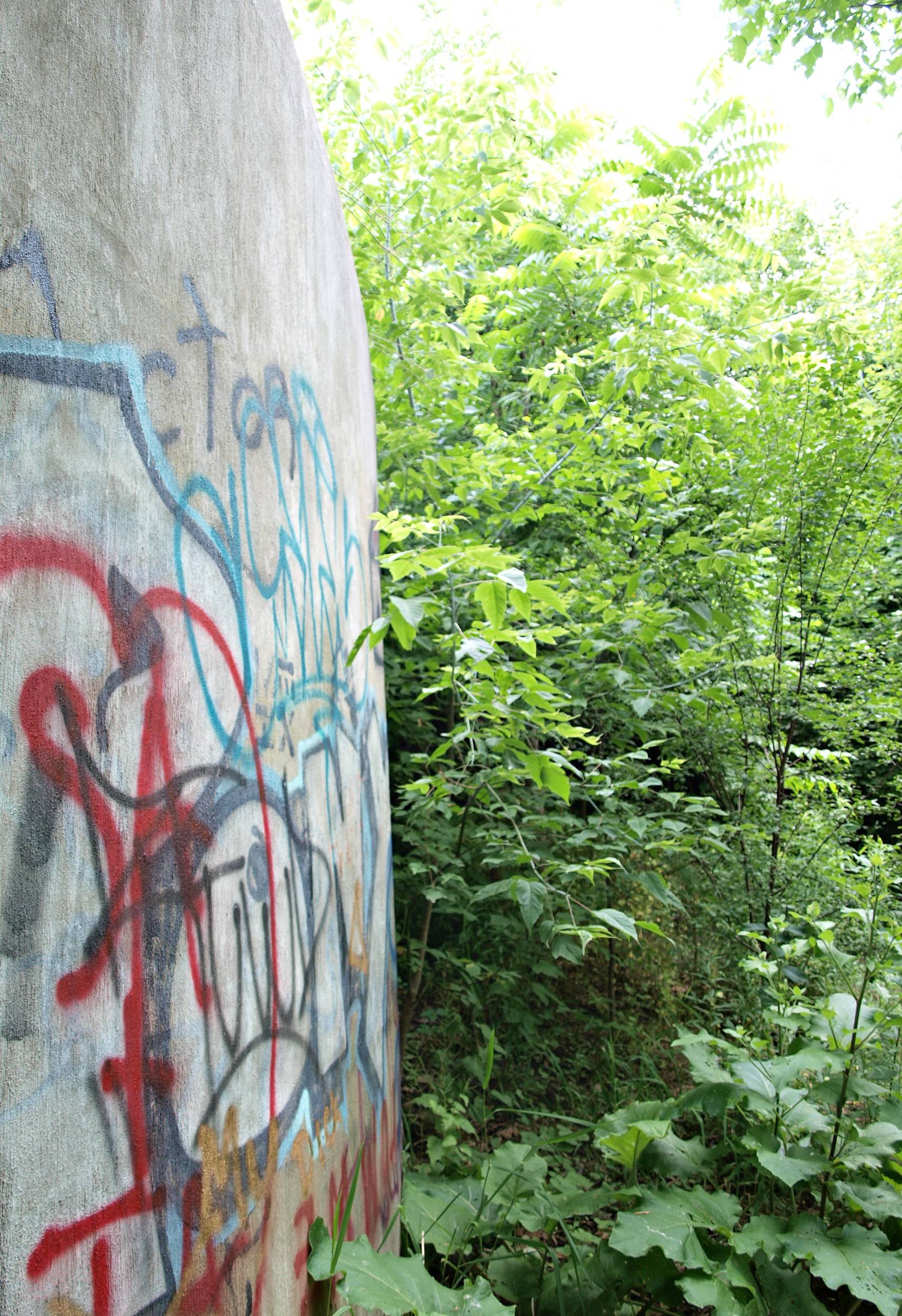 Graffiti wall in nature