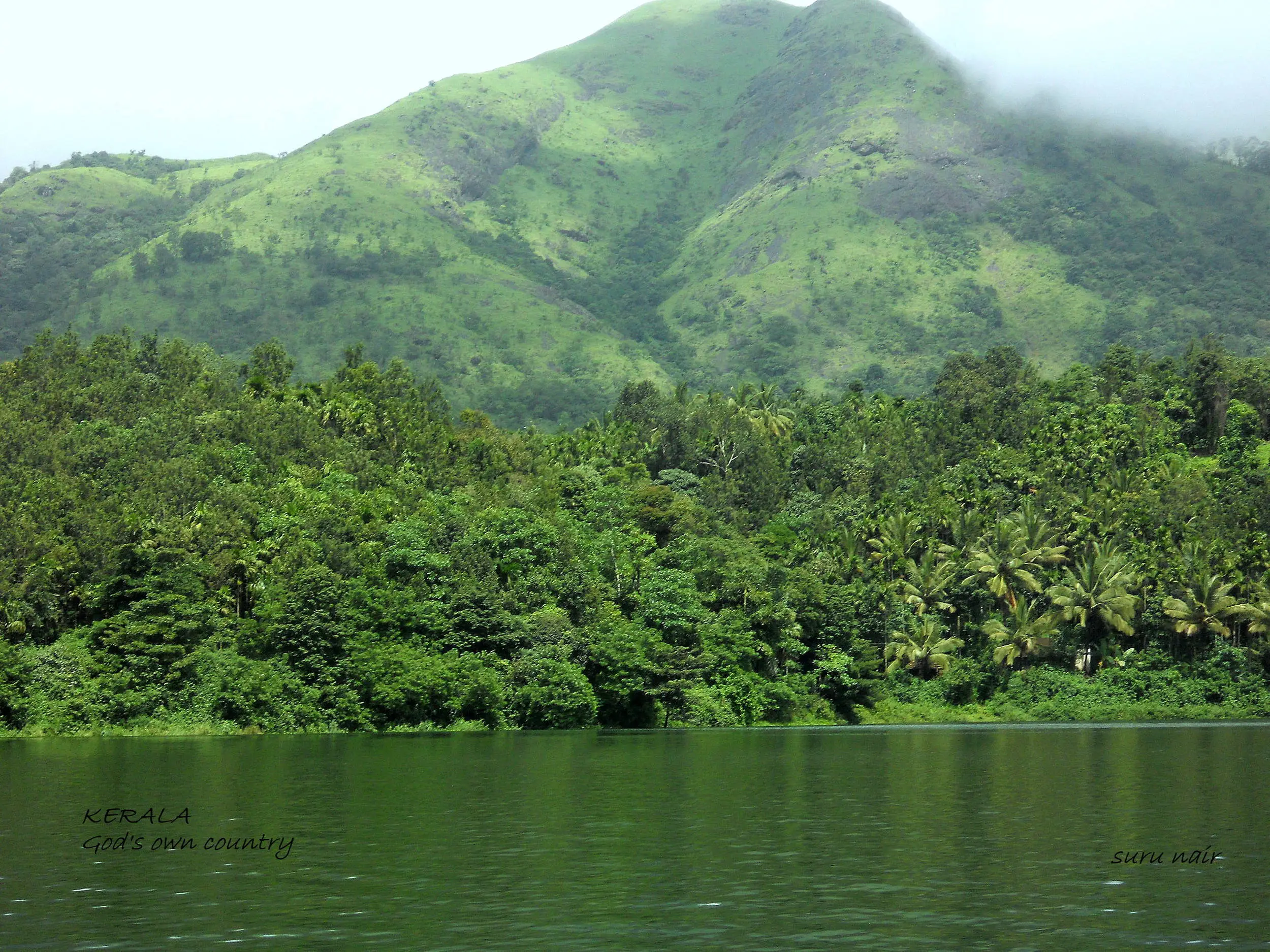 Green Paradise