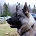 Gunnar