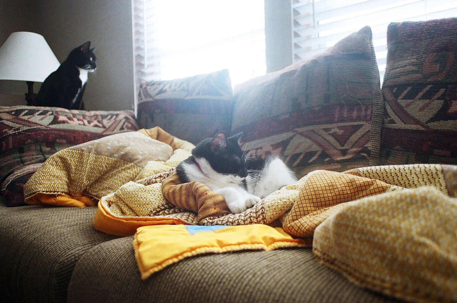 Hanging on the Couch